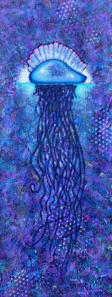 Portuguese Man O’ War